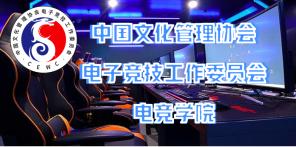 电子竞技岗位技能培训